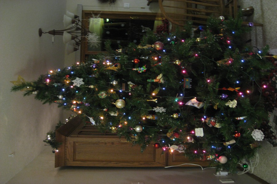 ../image/christmas tree 5.jpg